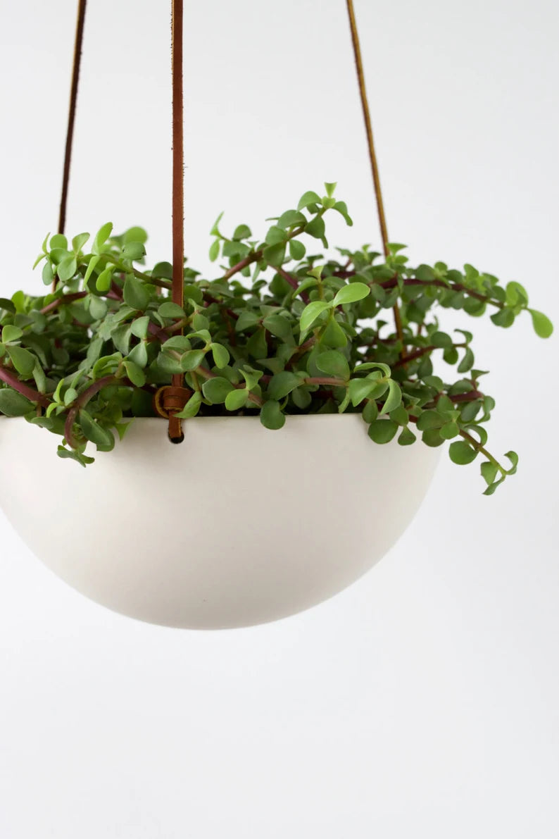 Medium Hanging Planter, Porcelain Ceramic, Geometric Faceted or Smooth finish, choose your Cording