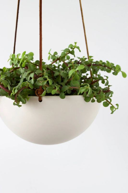 Medium Hanging Planter, Porcelain Ceramic, Geometric Faceted or Smooth finish, choose your Cording